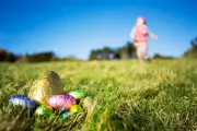 Three Dead Including Infant as High Winds Topple Tree at German Easter Egg Hunt