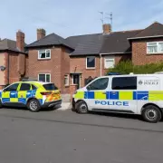 Three-Month-Old Girl Dies in Redcar Dog Attack, 45-Year-Old Man Arrested