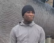 Three Teenagers Arrested After 14-Year-Old Fatally Shot in Woolwich