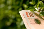 Thrifty Gardening Tips: Save Money with Expert Advice from Mark Lane