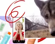 Toddler Skincare, Shakespeare, and Chornobyl: Weekend Reads