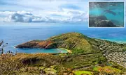 Tragedy in Paradise: 66-Year-Old Woman Dies Snorkeling at Hawaii's Hanauma Bay