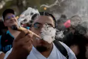 Trump Administration Directs Agencies to Prepare for Marijuana Reclassification