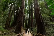 Trump Administration Relocates US Forest Service HQ to Salt Lake City