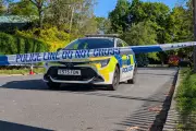 Two Teenagers Arrested Over Synagogue Arson Attack in Harrow