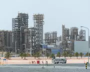 UAE Quits Opec: Fossil Fuel Prices Remain Too High Despite Departure