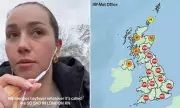 UK Braces for 'Pollen Bomb' as Hay Fever Symptoms Explode Nationwide
