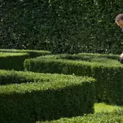 UK Homeowners Face £1,000 Fines for Overgrown Hedges Under Anti-social Behaviour Act