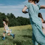 UK Insect Threat Grows: Expert Warns of Mosquitoes, Ticks and Spiders