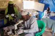 UK Must Protect Malaria Research to Save Lives and Boost Economy