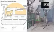 Ukraine's Robot Army Captures Russian Position in Historic Unmanned Combat Operation
