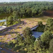 UK’s First Heathland Bridge to Help Wildlife Cross A3 Motorway