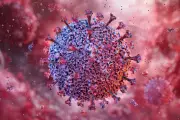 UK's Pandemic Strategy Contradiction: Cutting Global Aid While Claiming Preparedness