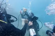 Underwater Speakers Play Healthy Reef Sounds to Revive Dying Coral in Jamaica