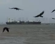 US and Iran in Indirect Talks to Extend Ceasefire Amid Regional Diplomacy