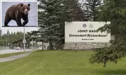 US Army Soldiers Seriously Injured in Brown Bear Attack During Alaska Training Exercise