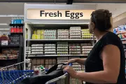 US Egg Prices Plummet 60% for Easter After Bird Flu Crisis Eases