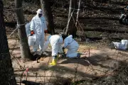 US Justice Department Files Complaint Over DC's Massive Sewage Spill into Potomac River