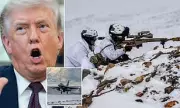 US Military Pushes for Permanent Access to Three Greenland Bases Amid Arctic Strategy