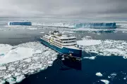 Venturing into the Weddell Sea: A Rare Antarctic Expedition Cruise Adventure