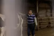 Vermont's Dairy Industry Relies on Undocumented Workers Denied Basic Rights
