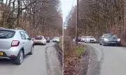 Viral TikTok Videos Cause Easter Gridlock at Welsh Forest Beauty Spot