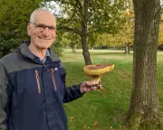 Virologist Robin Weiss, Pioneer of HIV Test and Research, Dies at 86