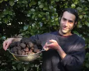 Why Black Truffles Thrive in Australia: Scientists Uncover Key Factors