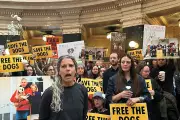Wisconsin Beagle Protesters Demand Governor's Action After Police Clash