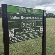 Woman Arrested After Viral Gang Rape Claim Deemed Police Time Waste