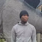 Woolwich Shooting Victim Named as 14-Year-Old Eghosa Ogbebor, Three Arrested