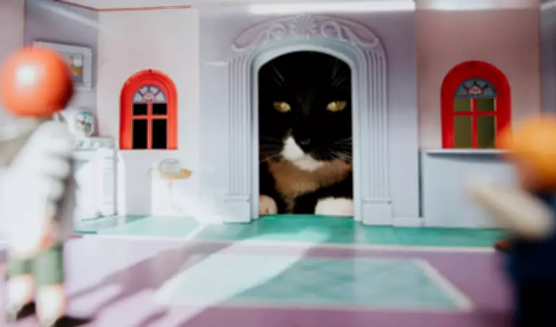 10 Must-Have Items to Cat-Proof Your Home and Protect Furniture