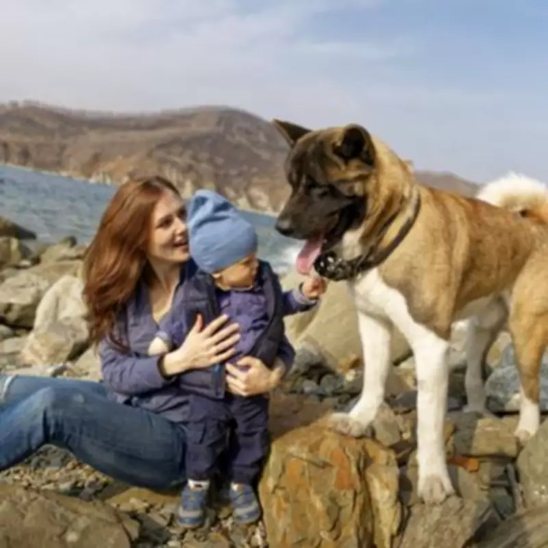 12 Dog Breeds to Avoid with Young Children, According to Experts