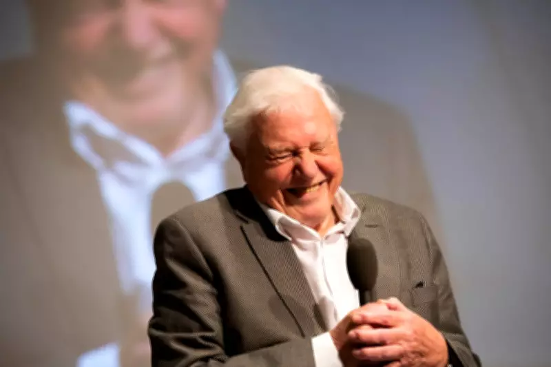 15 Most Memorable Sir David Attenborough Quotes for His 100th Birthday