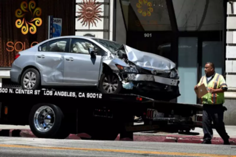 1.7 Million Animal Collisions Cost US Economy $10 Billion Annually