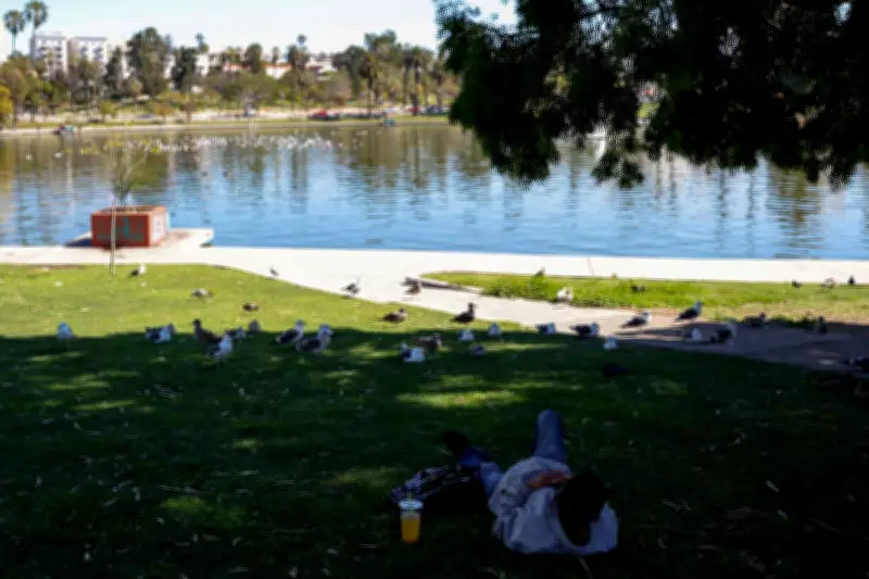 18 Arrested in LA Park Drug Bust, Fentanyl Seized