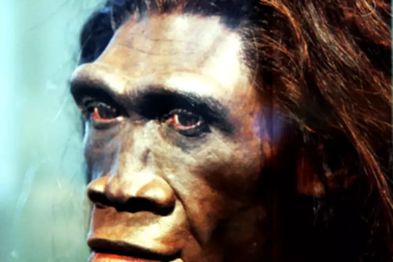 400,000-Year-Old Teeth Reveal Early Human Interbreeding with Homo Erectus