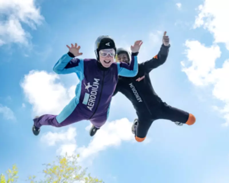 49 Ways to Have Fun Right Now: From Wind Tunnel Skydiving to Dog Counting