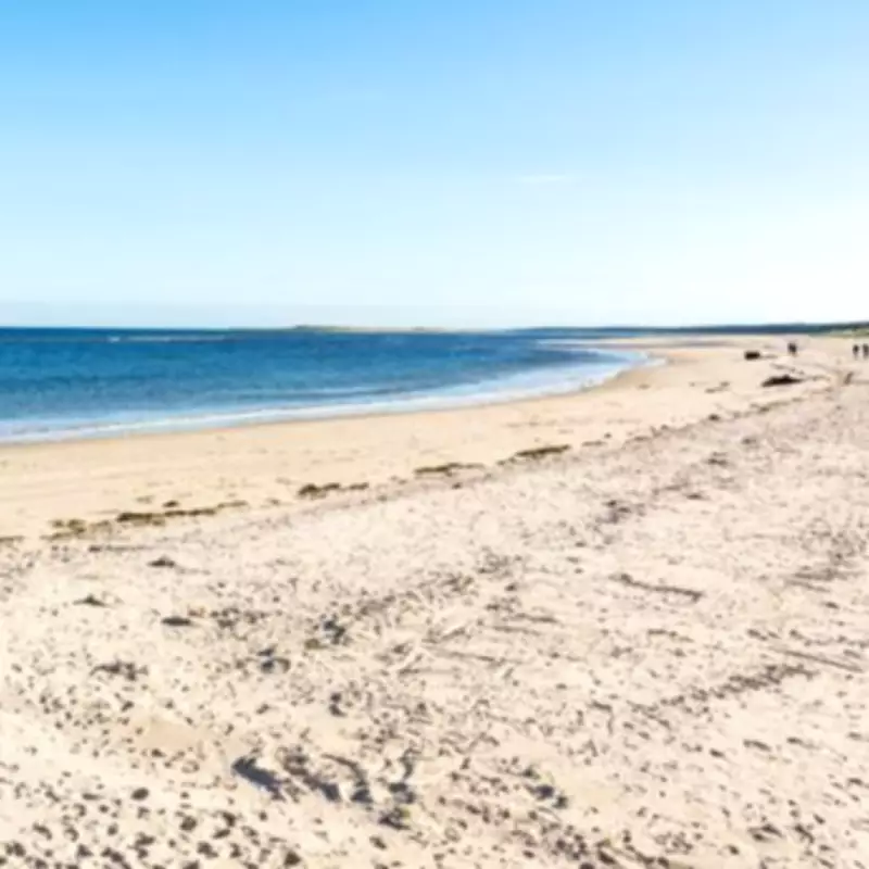 5 Caribbean-Like UK Beaches Reachable by Train During Mini Heatwave