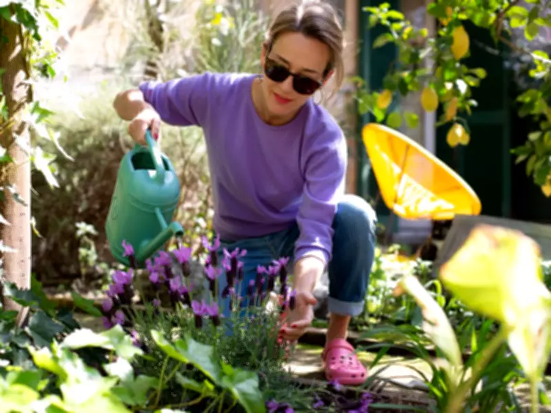 6 Budget DIY Garden Hacks to Create a 'True Oasis' This Summer