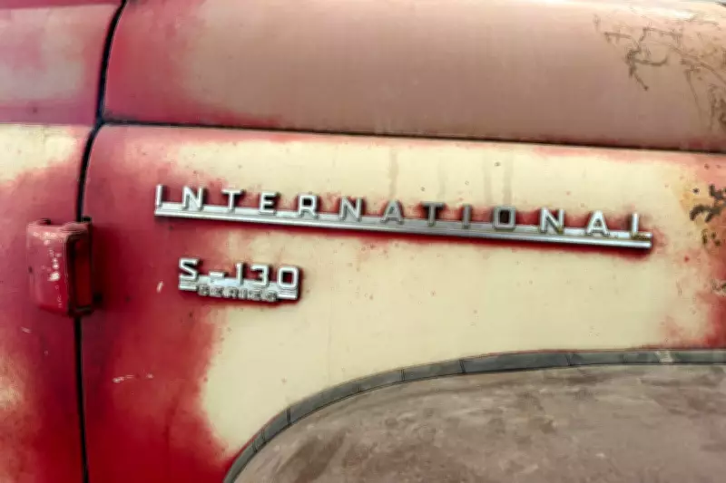 A 1956 International Harvester Pickup's Journey from Farm Work to Family Heirloom