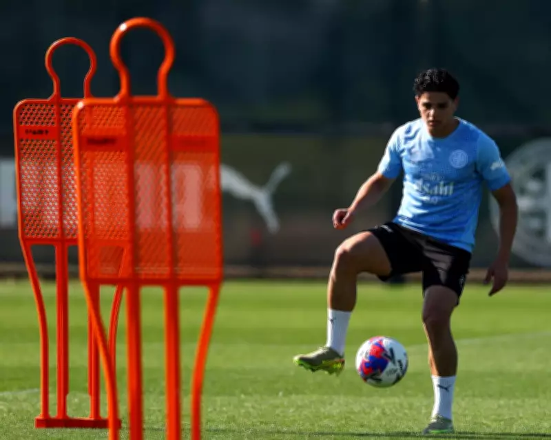 A-League's World Cup Hopefuls Chase Last Chance to Impress Socceroos Coach