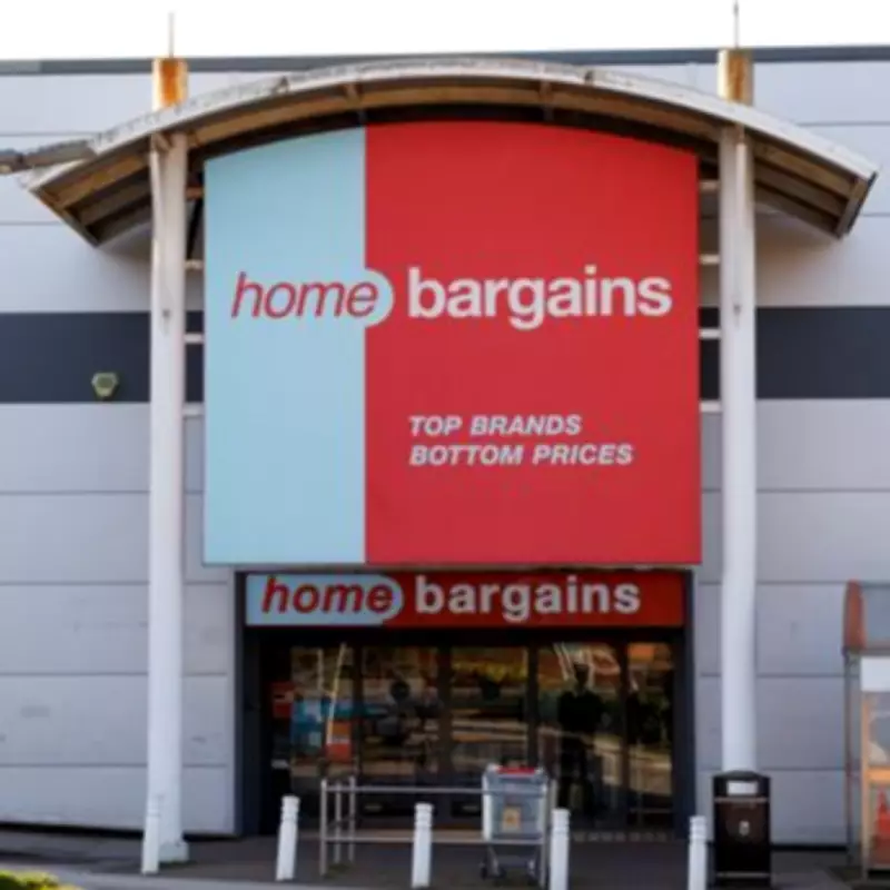 Add Year-Round Beauty to Gardens with £20 Home Bargains Trellis