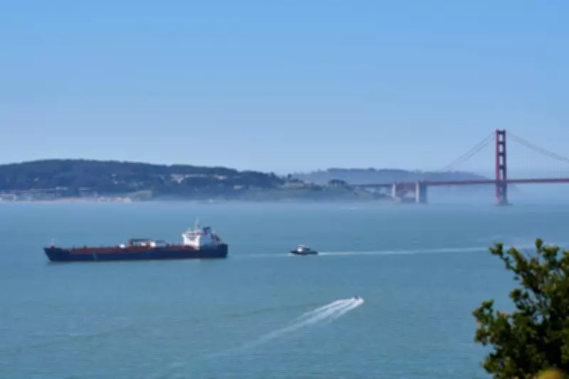 AI-Powered Whale Detection Network Launches in San Francisco Bay