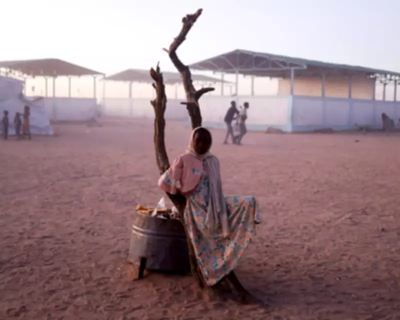 Aid Sector at Breaking Point: Dinosaurs Must Adapt or Die