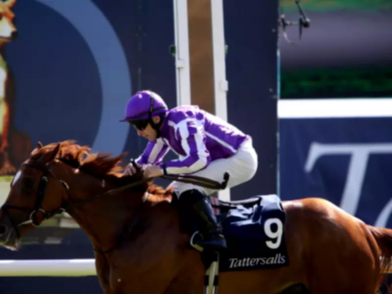 Aidan O'Brien Delays Epsom Decision on Irish Guineas Winner Precise