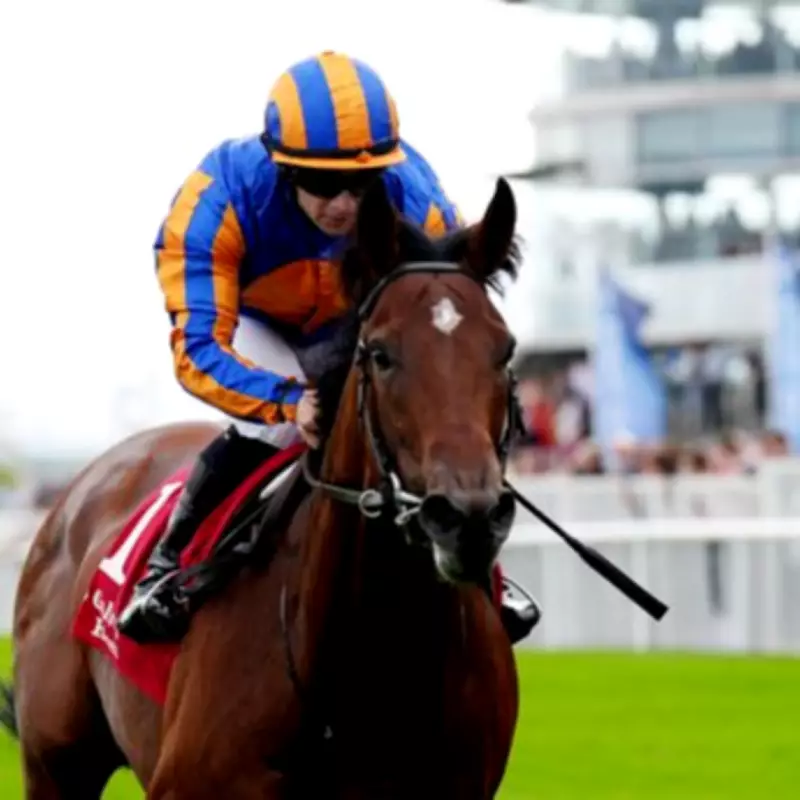 Aidan O'Brien: Derby second favourite's Epsom run not guaranteed