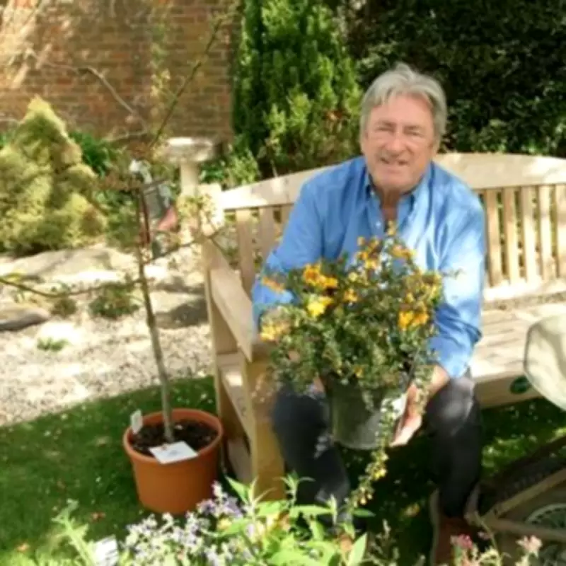 Alan Titchmarsh: 3 Plants Birds 'Love' for Your Garden