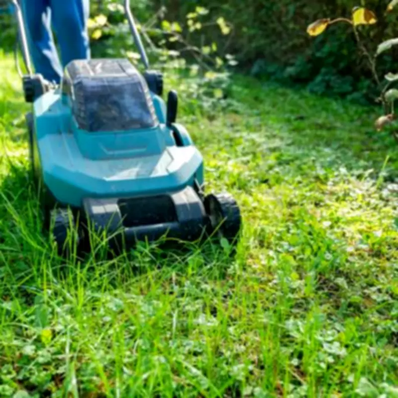 Alan Titchmarsh Reveals Ideal Lawn Mowing Frequency for Greener Grass