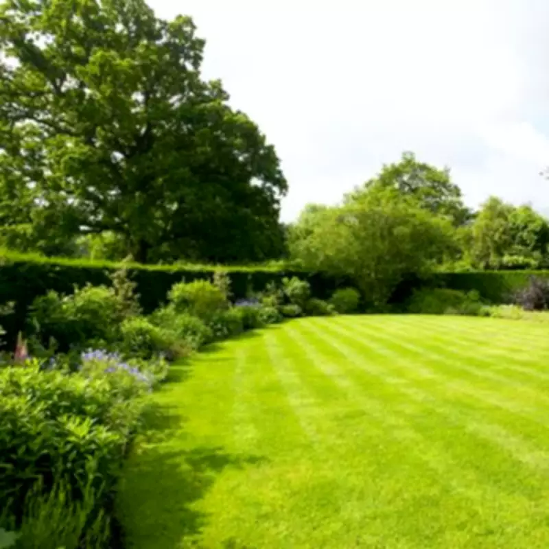 Alan Titchmarsh's Simple Method to Remove Moss and Dead Grass from Lawns
